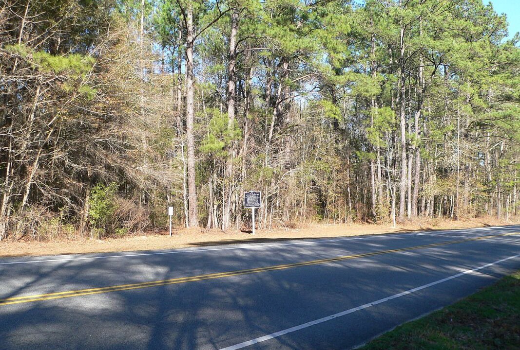 Photo of Others in Ridgeland