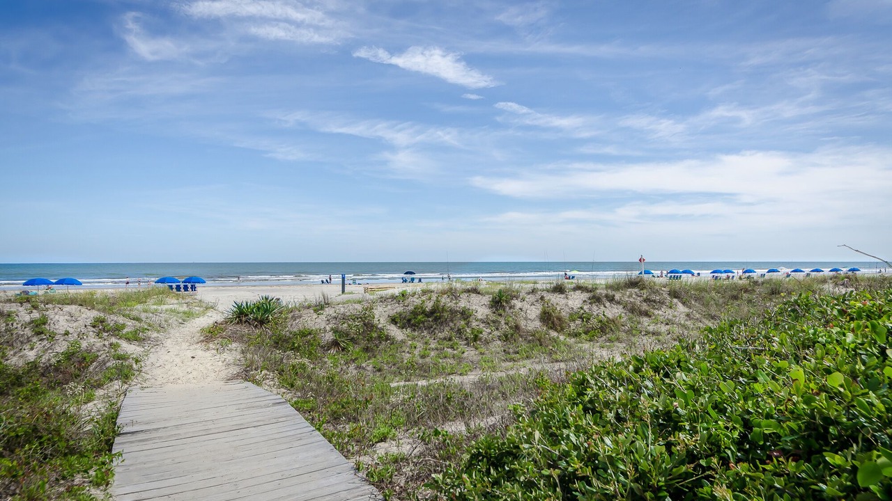 Photo of Others in West Beach