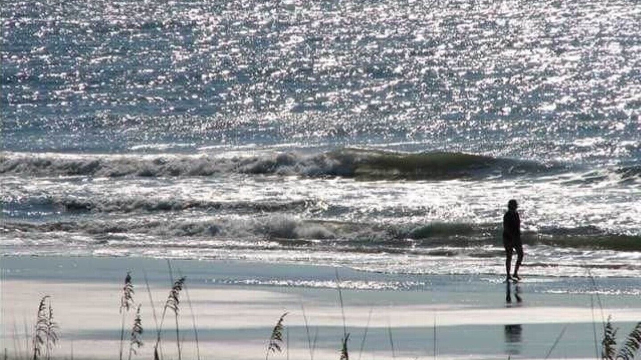 Photo of Others in North Litchfield Beach