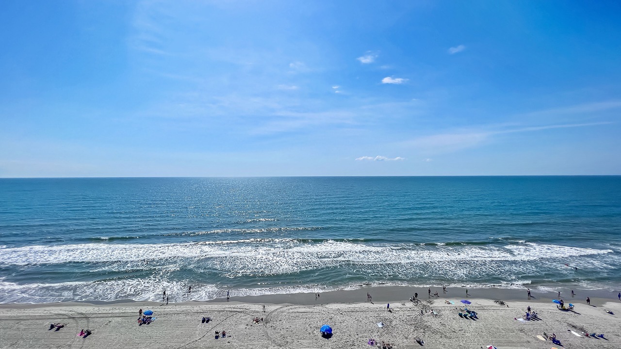 Photo of Others in Arcadian Shores