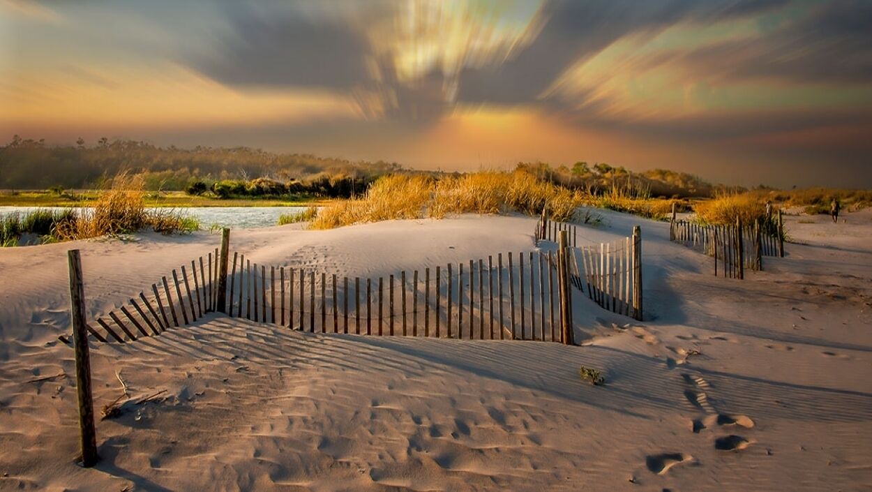 Photo of Others in Pawleys Island