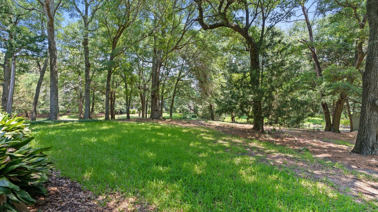 Photo of Others in Arcadian Shores