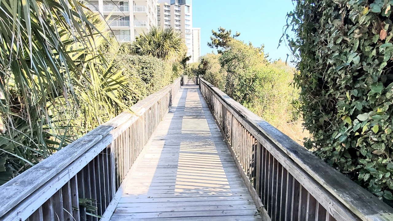 Photo of Others in Arcadian Shores