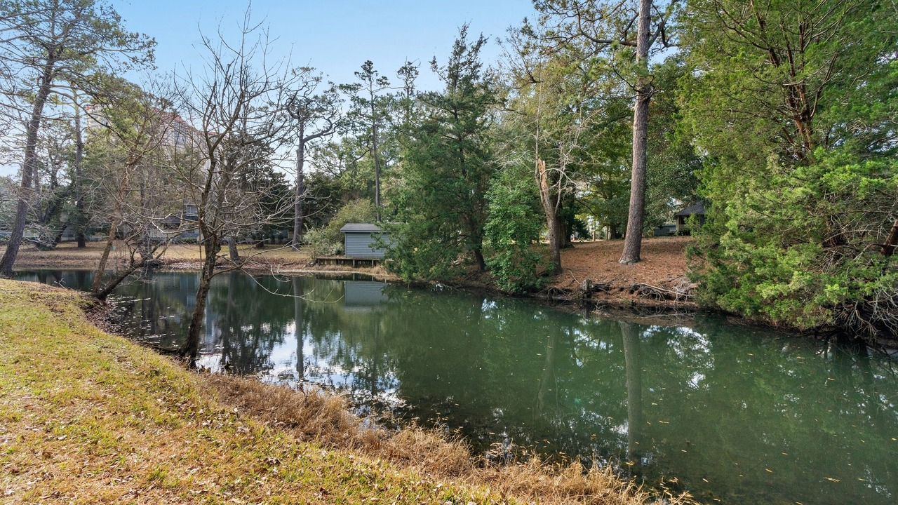Photo of Others in Arcadian Shores