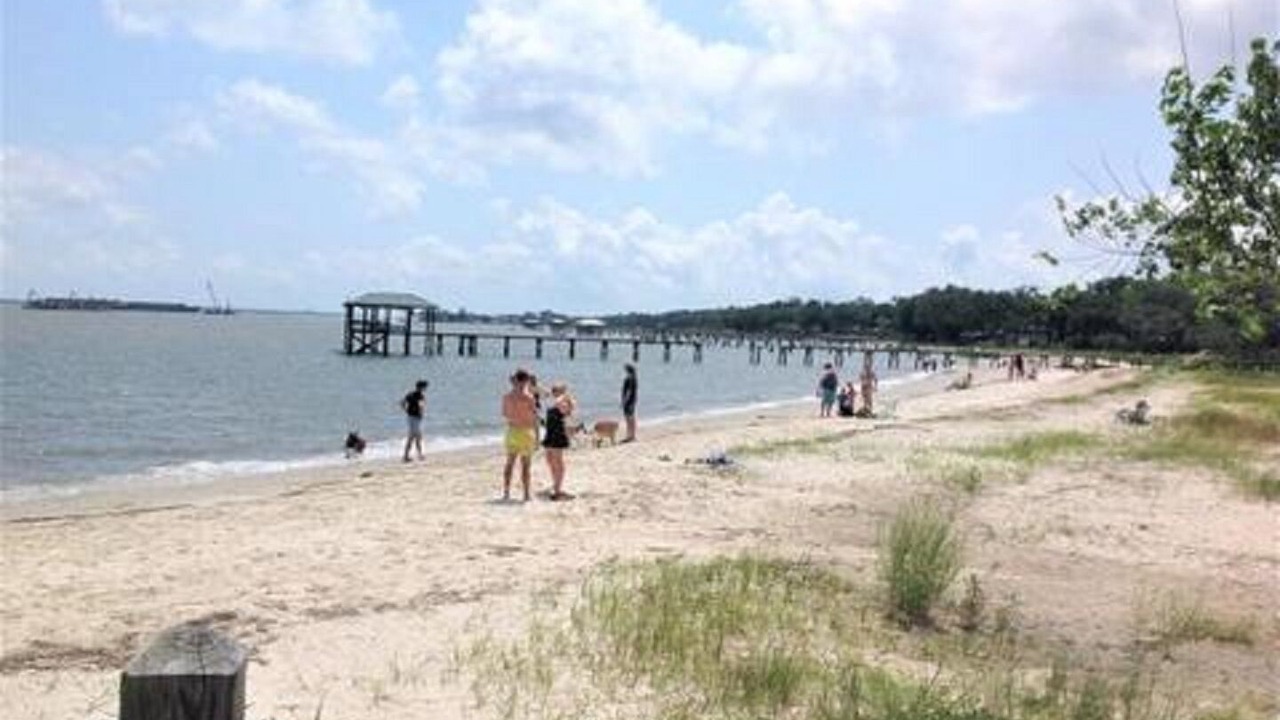 Photo of Others in Charleston