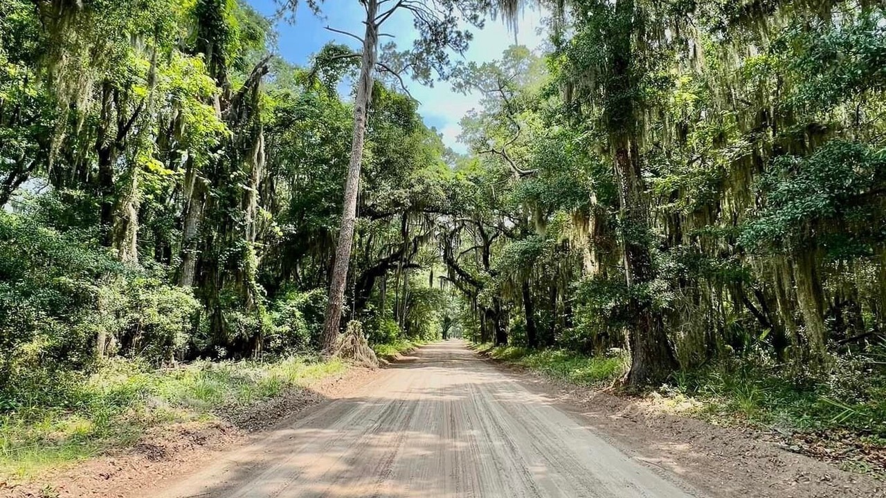 Photo of Others in Daufuskie Island