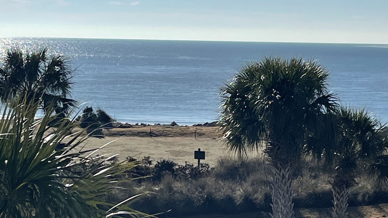 Photo of Others in Seabrook Island
