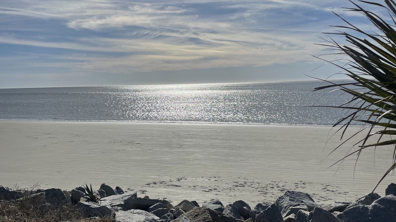 Photo of Others in Seabrook Island
