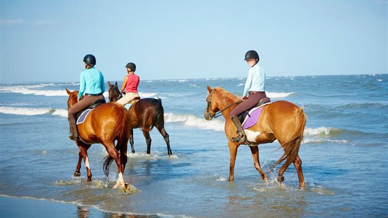 Photo of Others in Seabrook Island