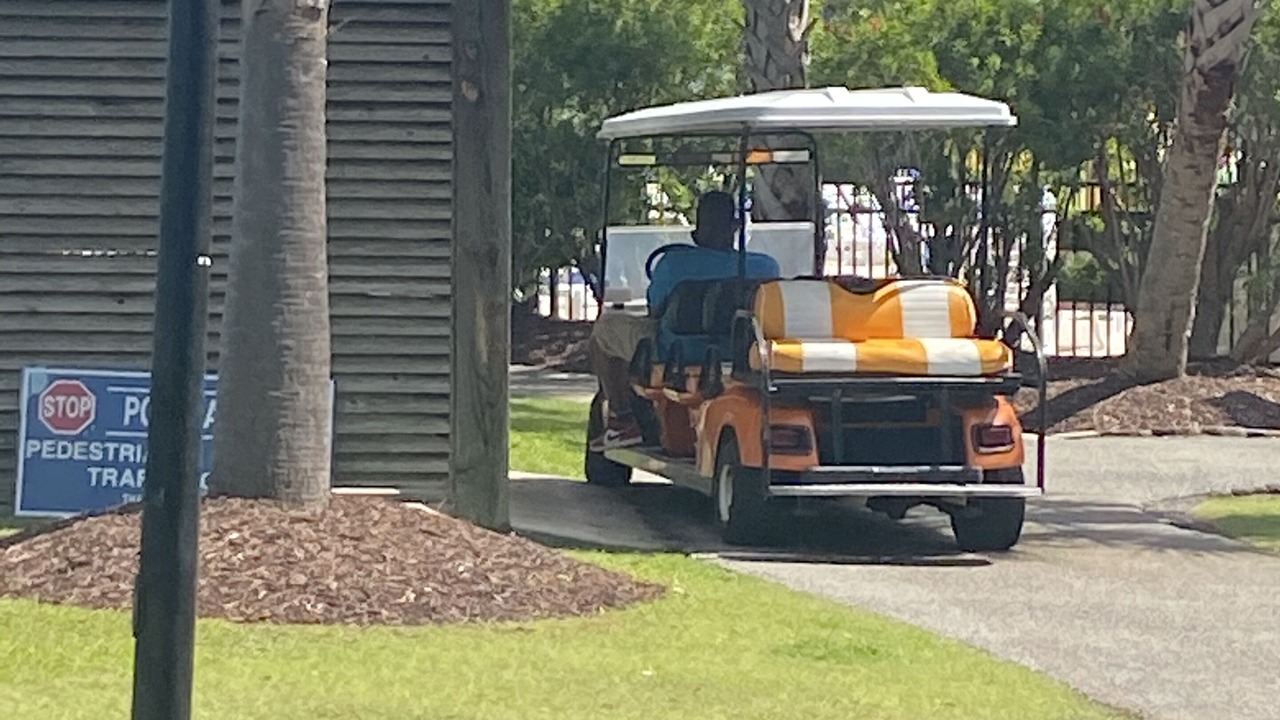 Photo of Others in North Litchfield Beach