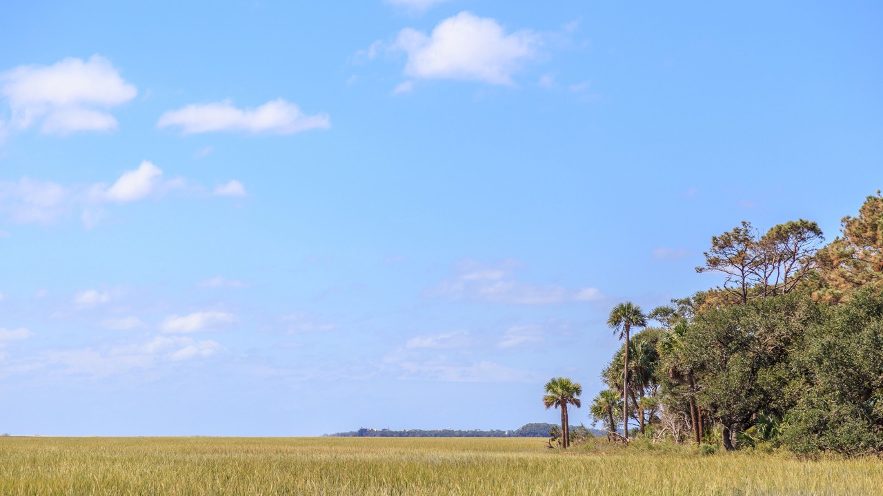 Photo of Others in Seabrook Island