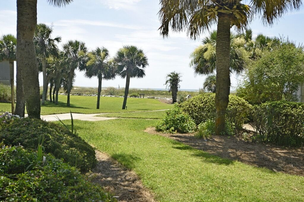 Photo of Others in Saint Helena Island
