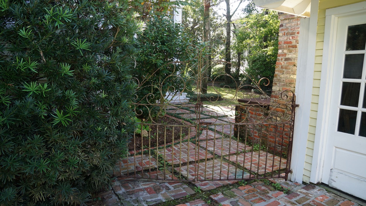 Photo of Outdoor in Sullivan's Island