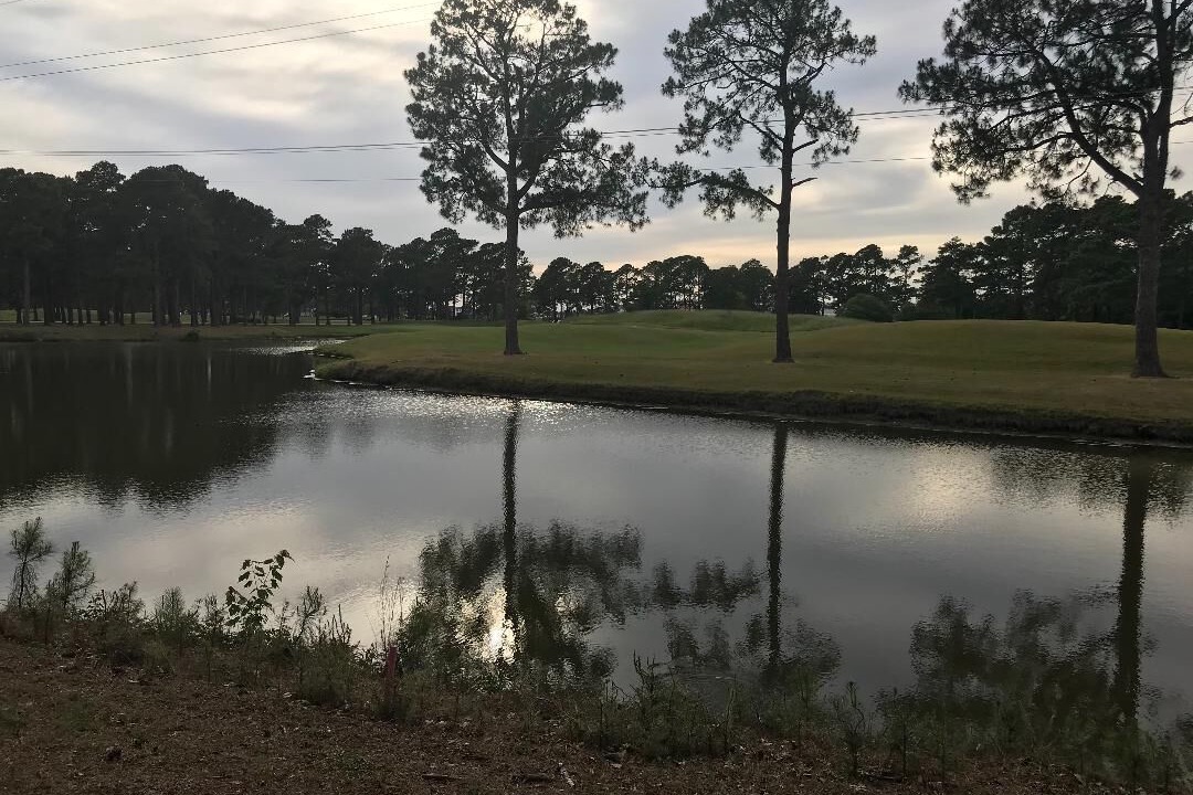 Photo of Outdoor in Central Myrtle Beach