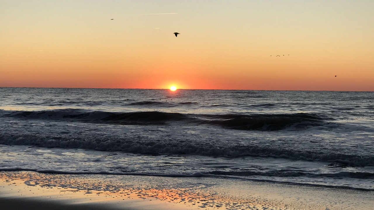 Photo of Others in Surfside Beach