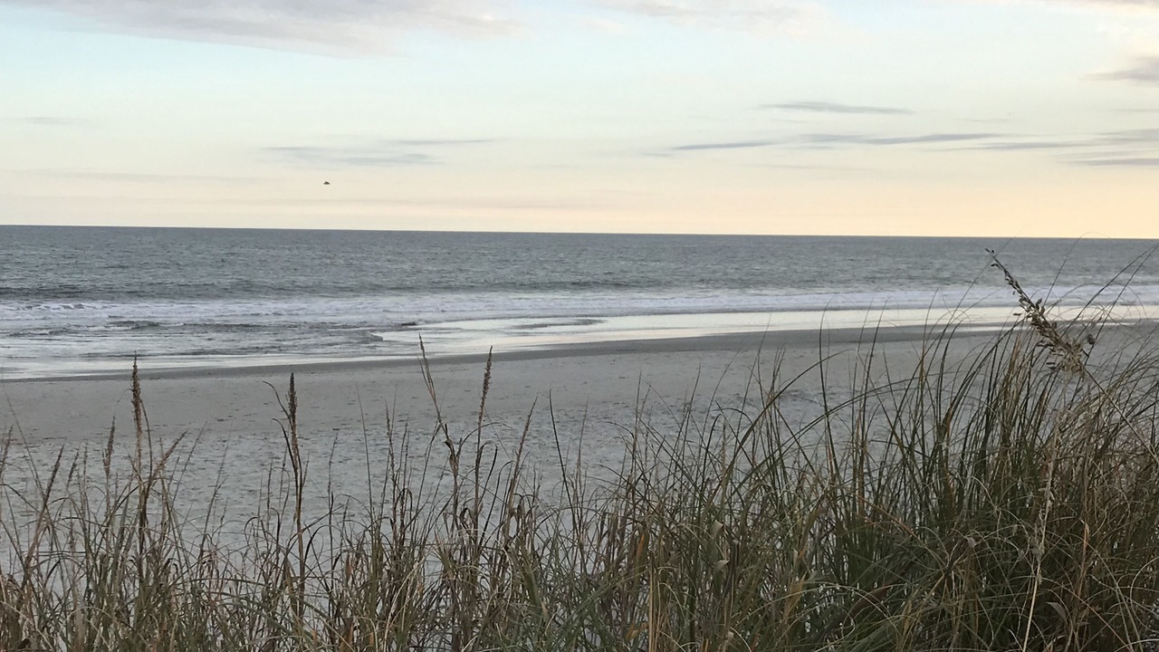 Photo of Others in Surfside Beach