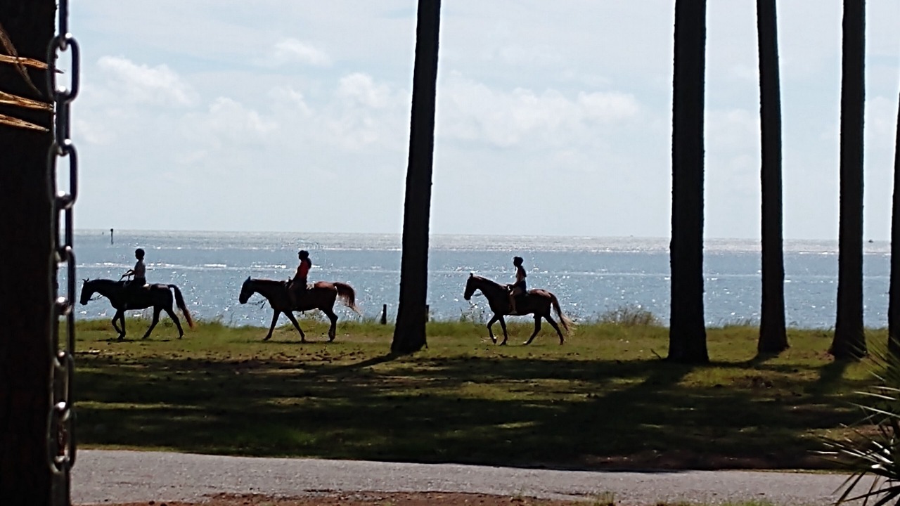 Photo of Others in Melrose on the Beach