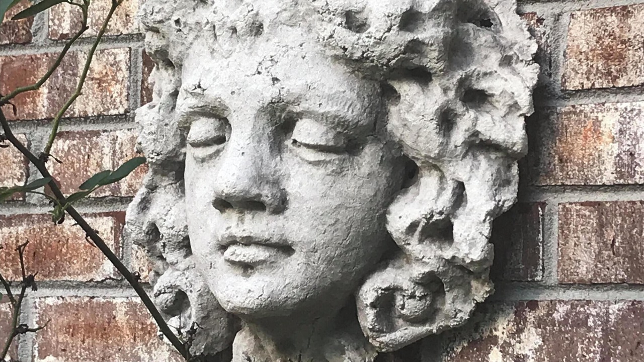 Photo of Others in Charleston