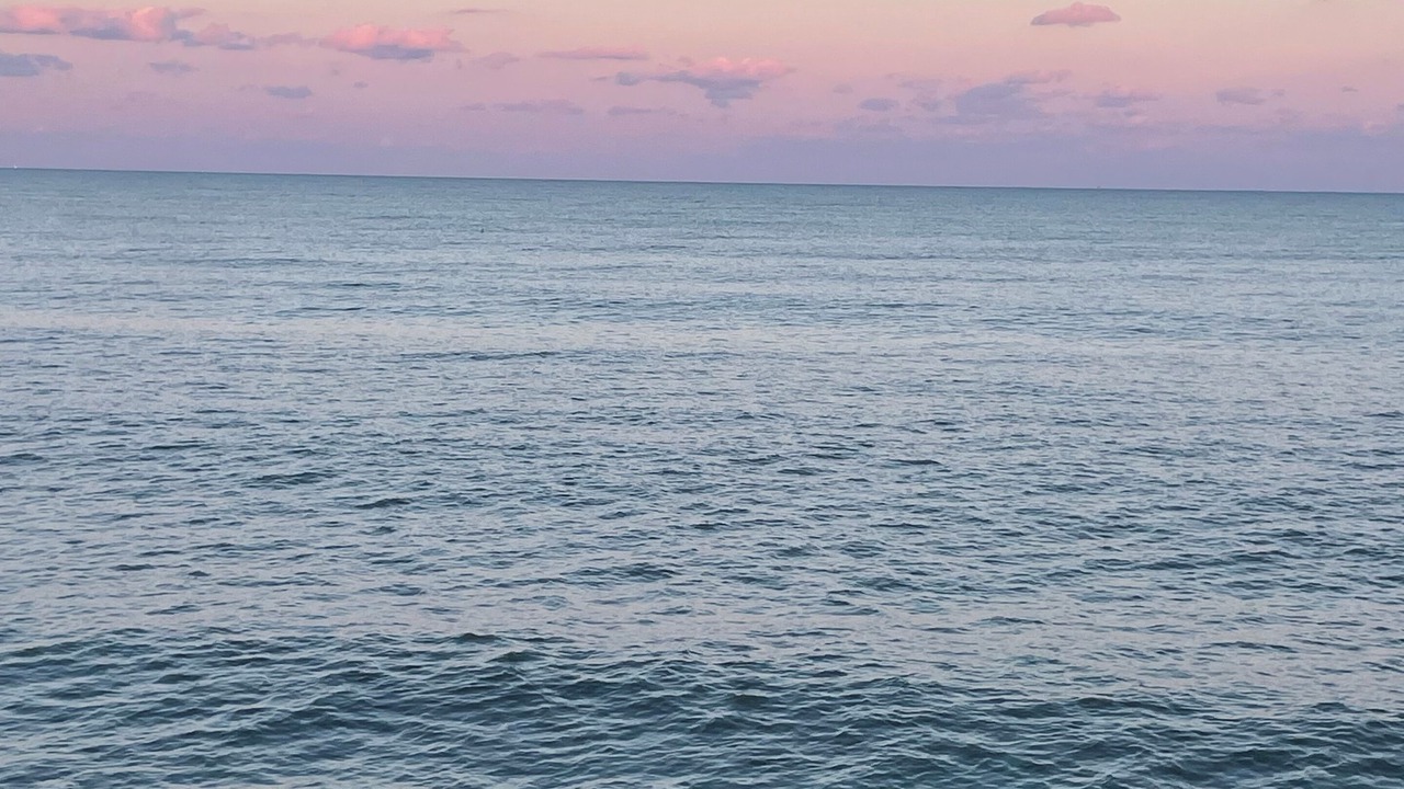 Photo of Others in Edisto Island