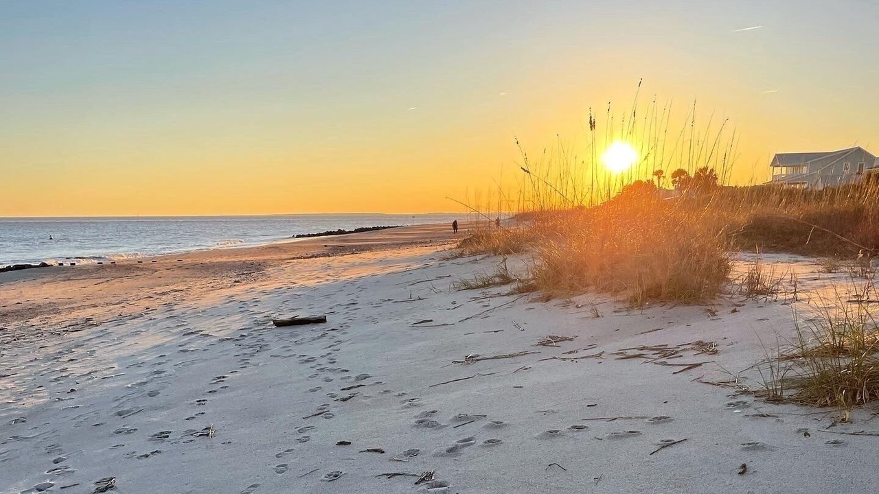 Photo of Others in Edisto Island