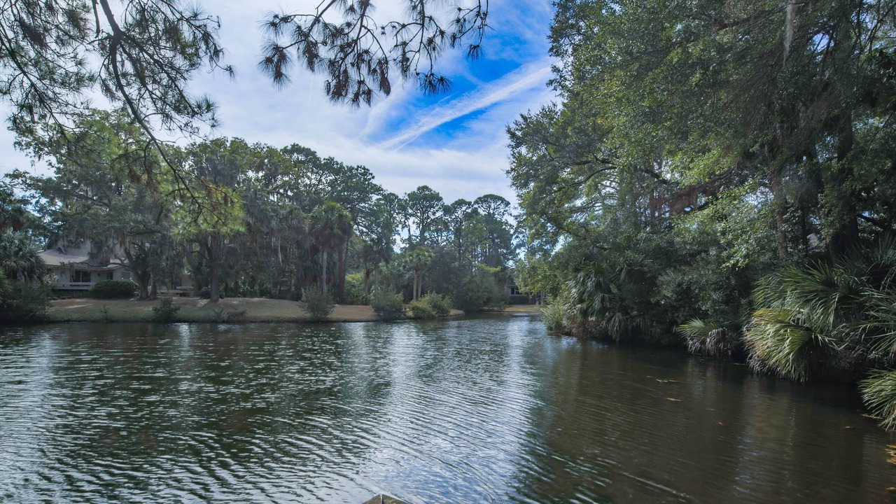 Photo of Others in Sea Pines