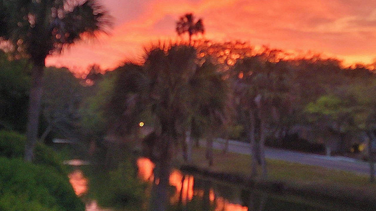 Photo of Others in Isle of Palms