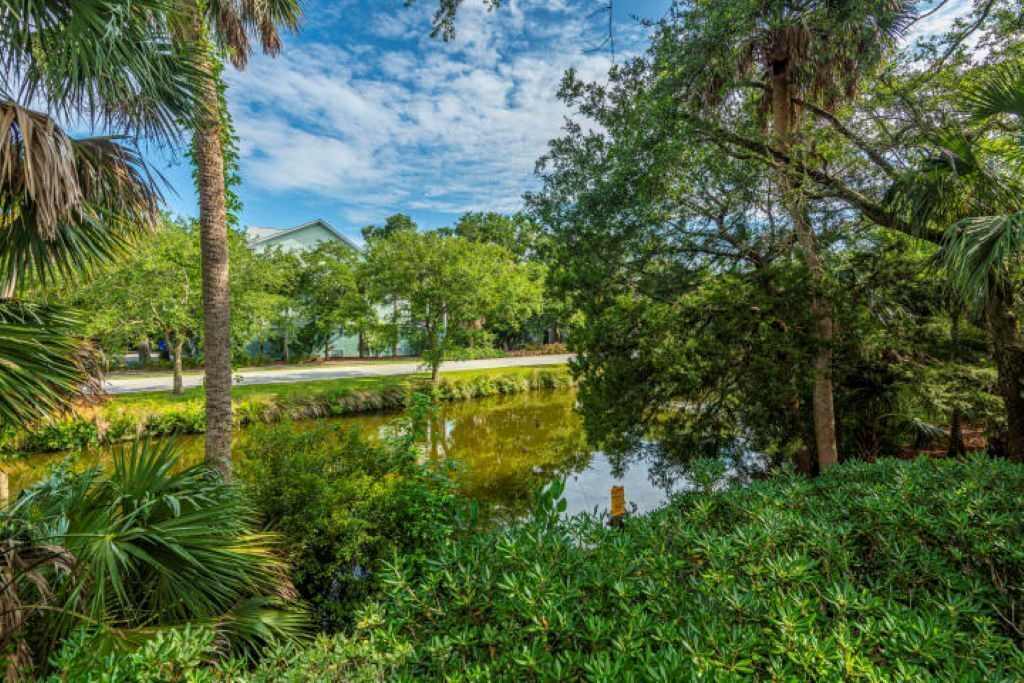 Photo of Outdoor in Isle of Palms
