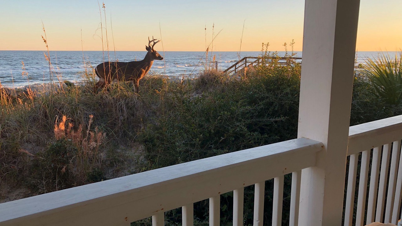Photo of Outdoor in Beaufort