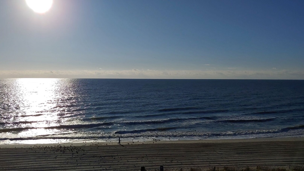 Photo of Others in Myrtle Beach