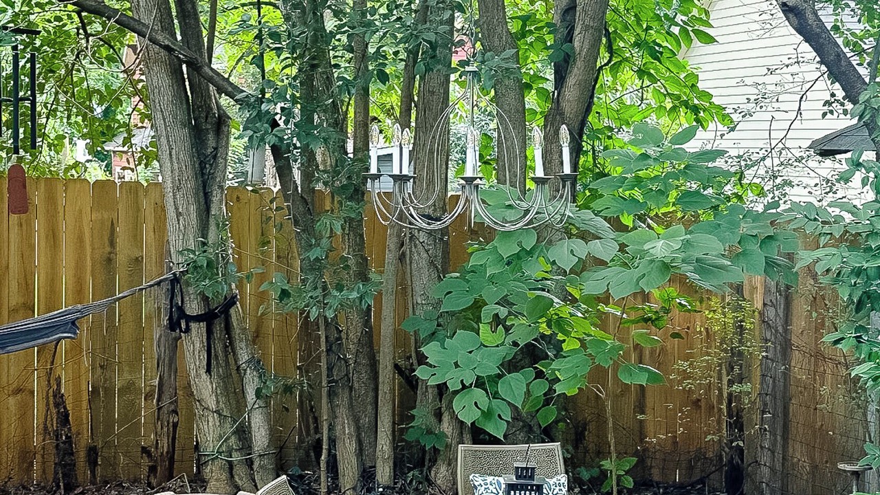 Photo of Outdoor in Plaza Midwood