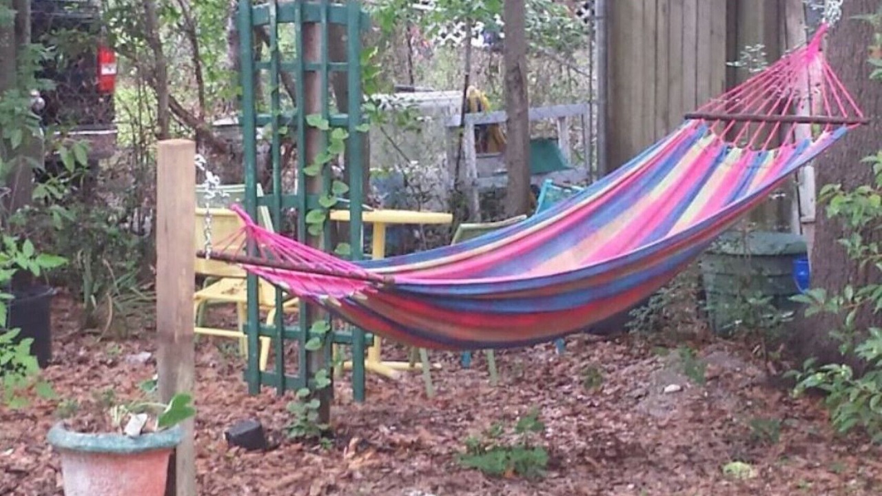 Photo of Outdoor in North Charleston