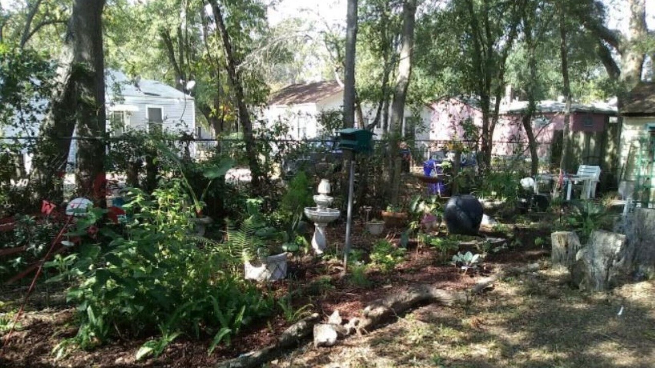 Photo of Outdoor in North Charleston