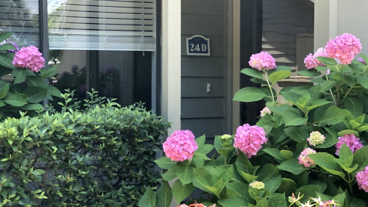 Photo of Outdoor in Arcadian Shores