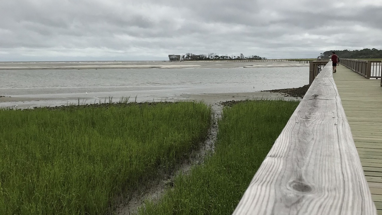 Photo of Others in Saint Helena Island