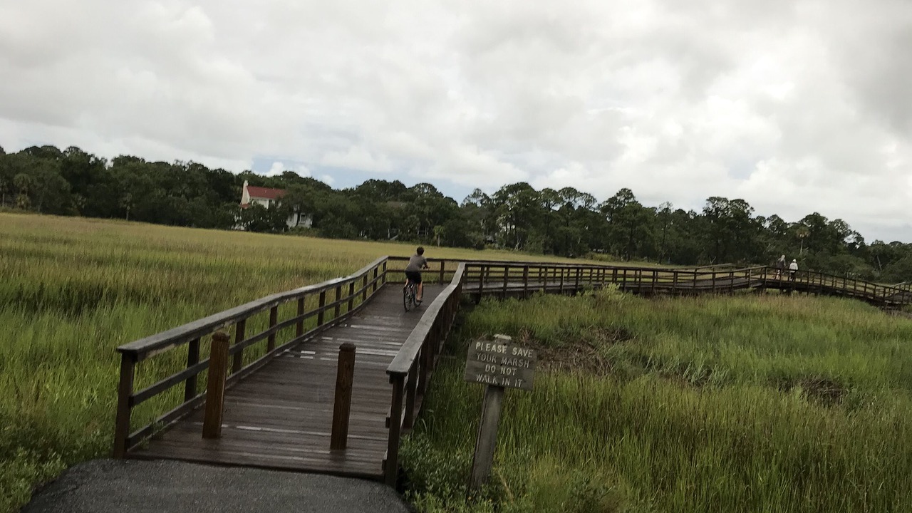 Photo of Others in Saint Helena Island