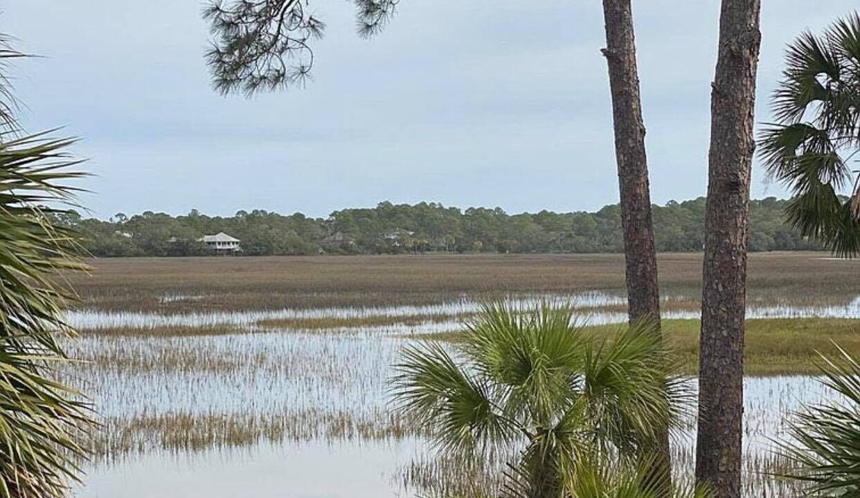 Photo of Others in Saint Helena Island