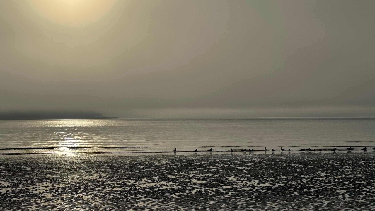 Photo of Others in Melrose on the Beach