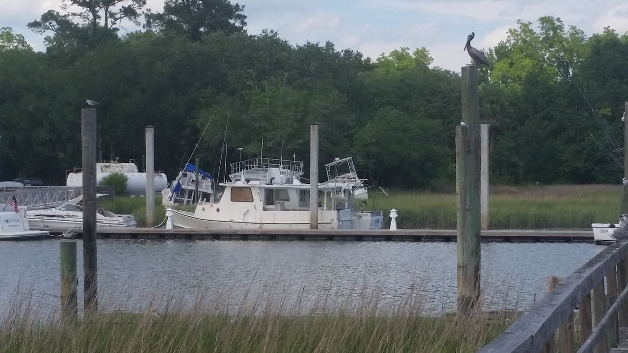 Photo of Others in McClellanville