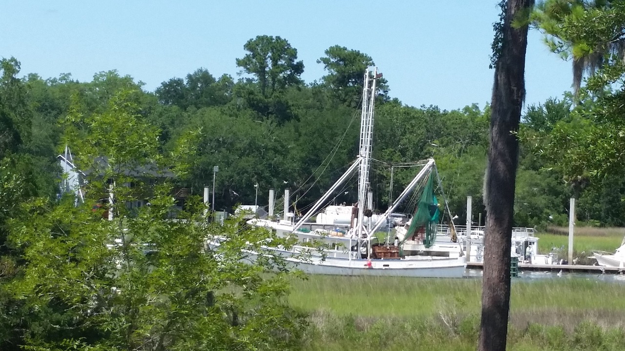 Photo of Others in McClellanville