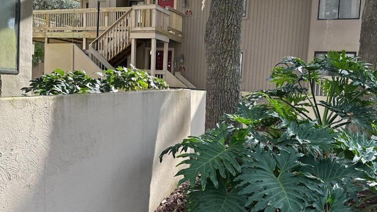 Photo of Outdoor in Shipyard Plantation