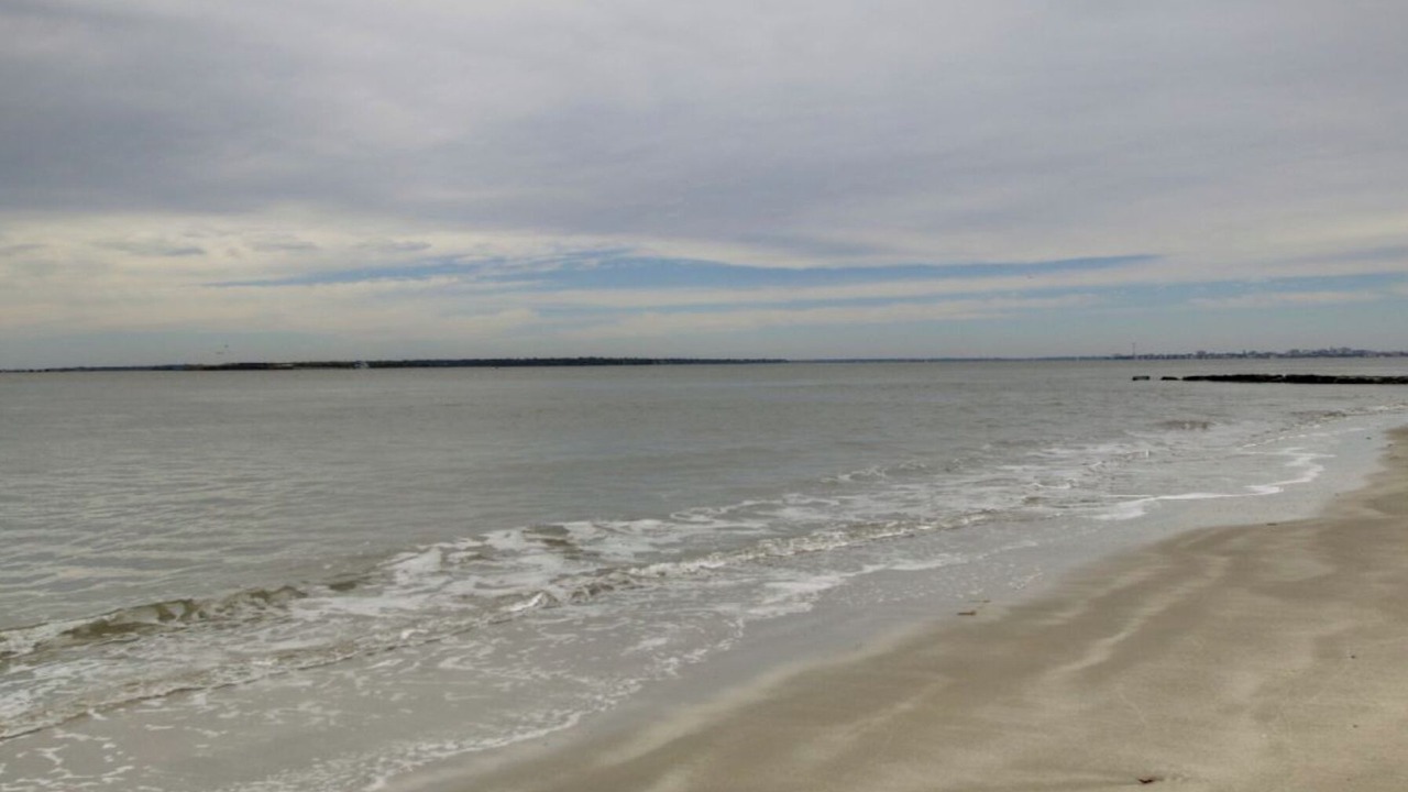 Photo of Others in Sullivan's Island