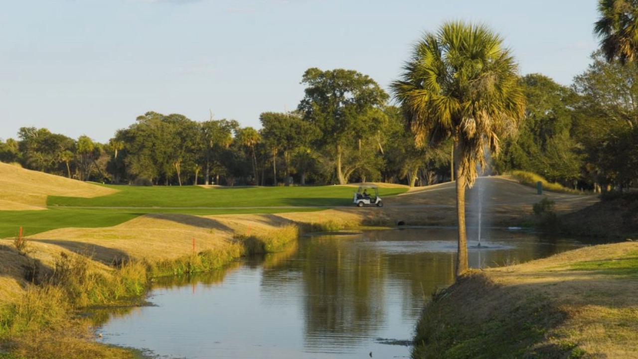 Photo of Others in Pelican Bay
