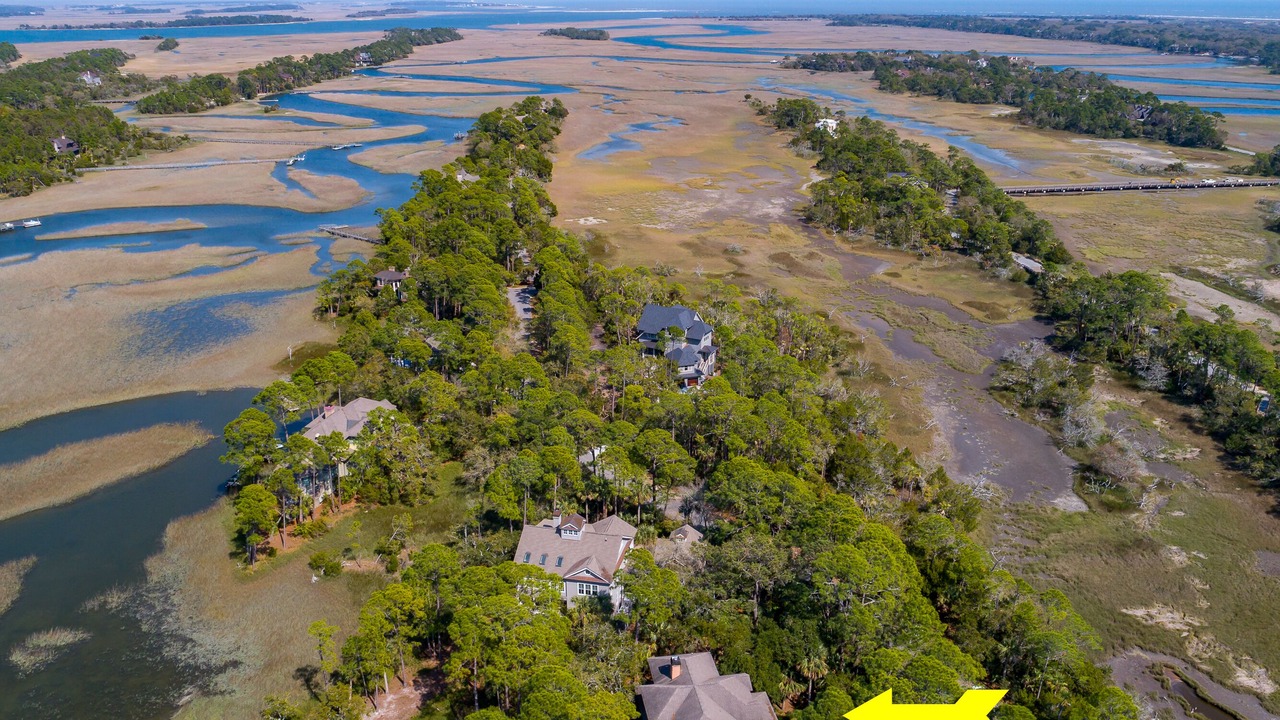 Photo of Others in Vanderhorst Plantation