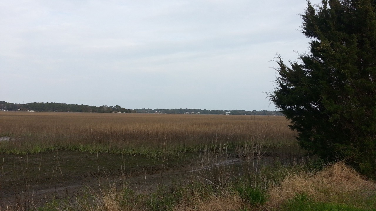 Photo of Others in Tybee Island
