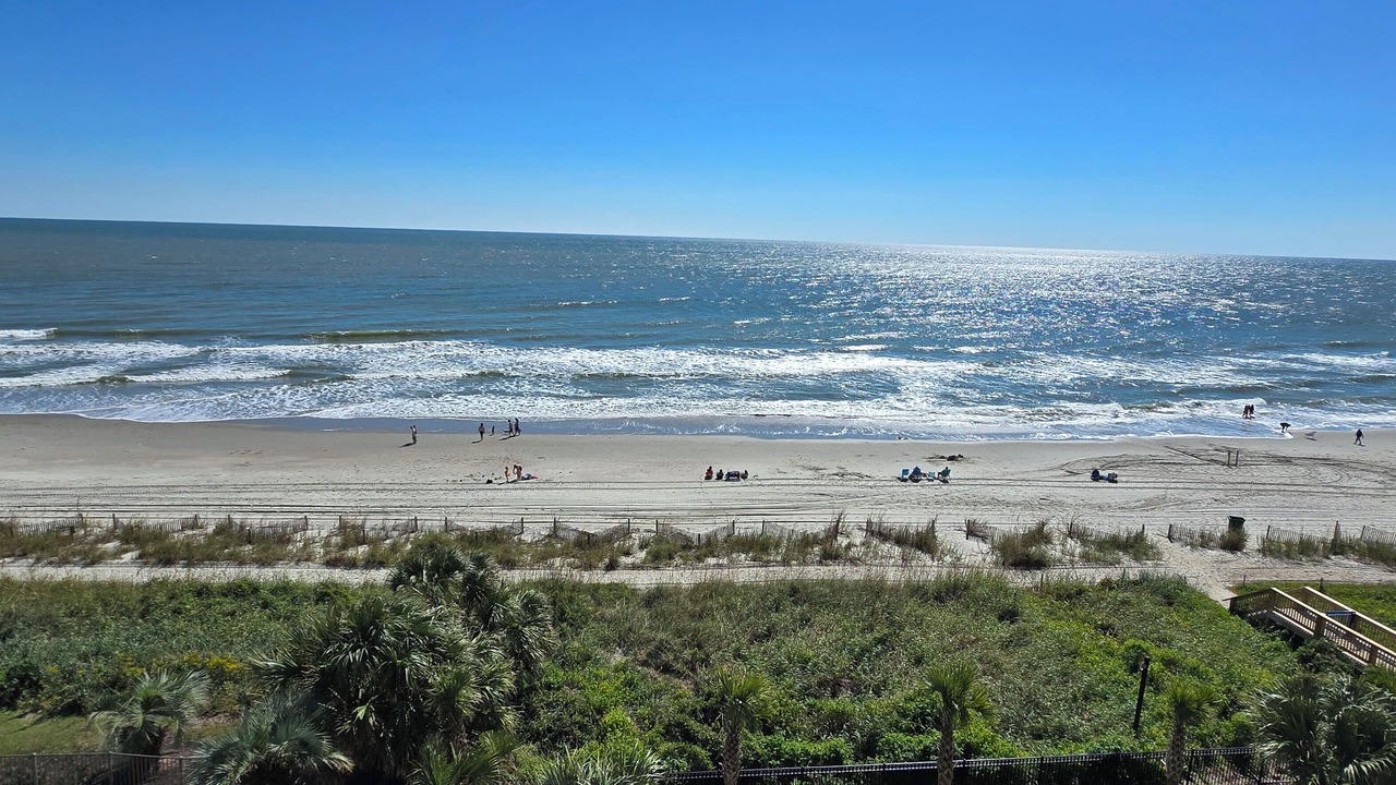 Photo of Others in Myrtle Beach