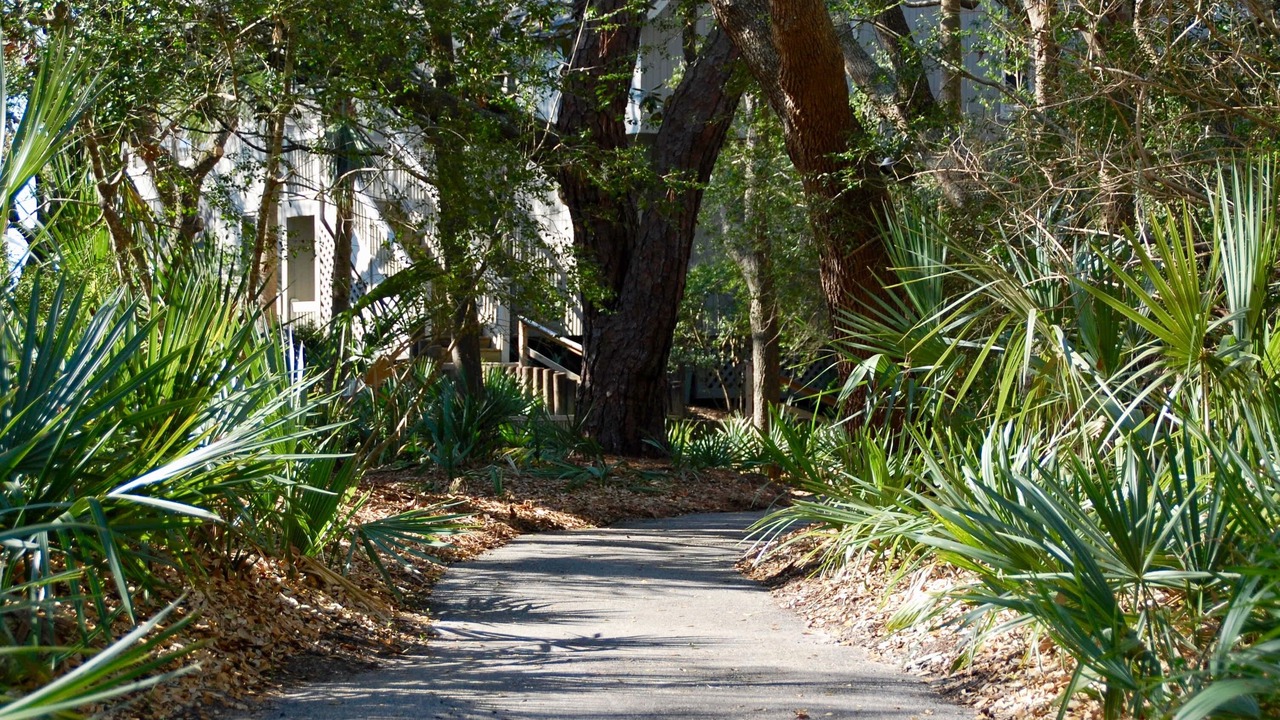 Photo of Others in West Beach Village