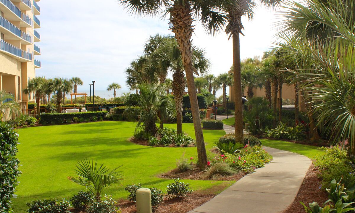 Photo of Others in Arcadian Shores