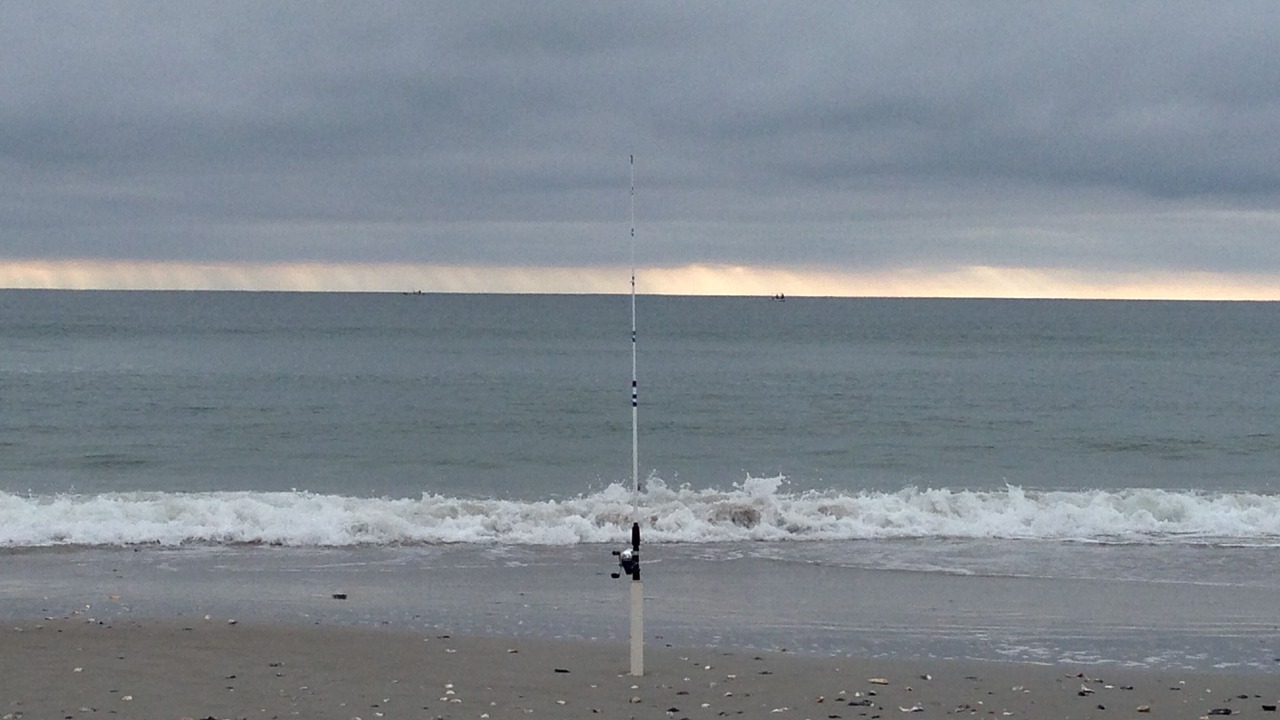 Photo of Others in Myrtle Beach