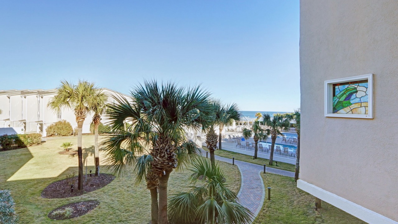 Photo of Others in Tybee Island