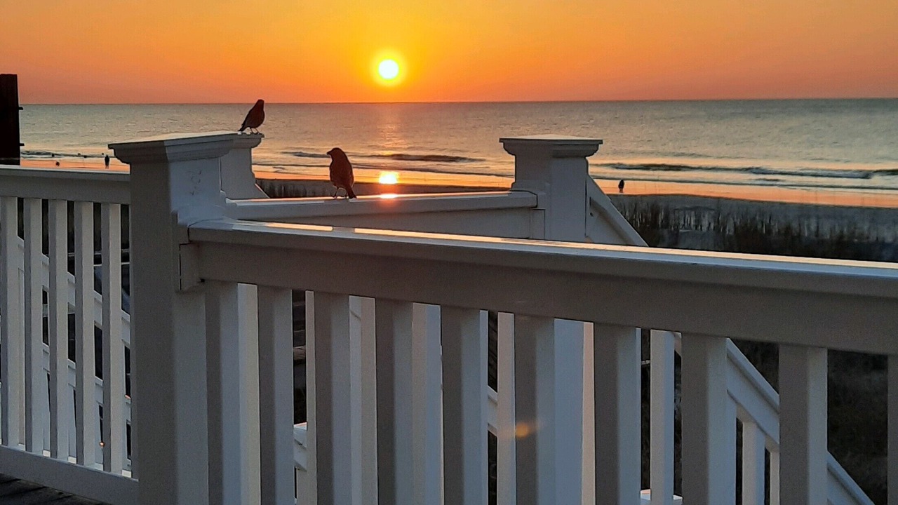 Photo of Outdoor in Surfside Beach